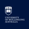 Logo for the Decision Systems Laboratory (DSL) at UOW
